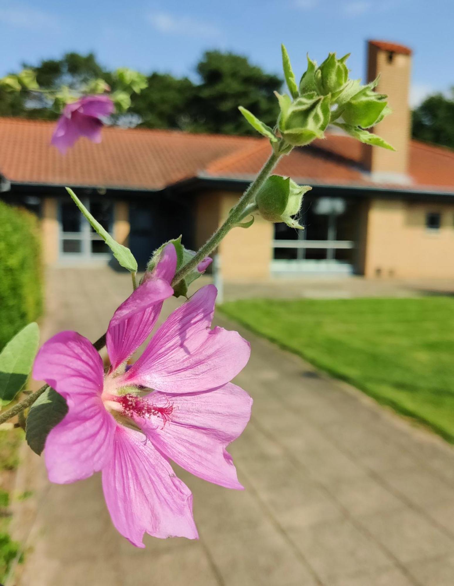 Hotel Svanegarden Korsor Bagian luar foto